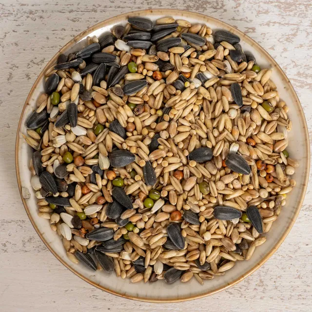 rico-s-futterkiste-keimfutter-gro-sittiche-500g-vitaminreich image 1
