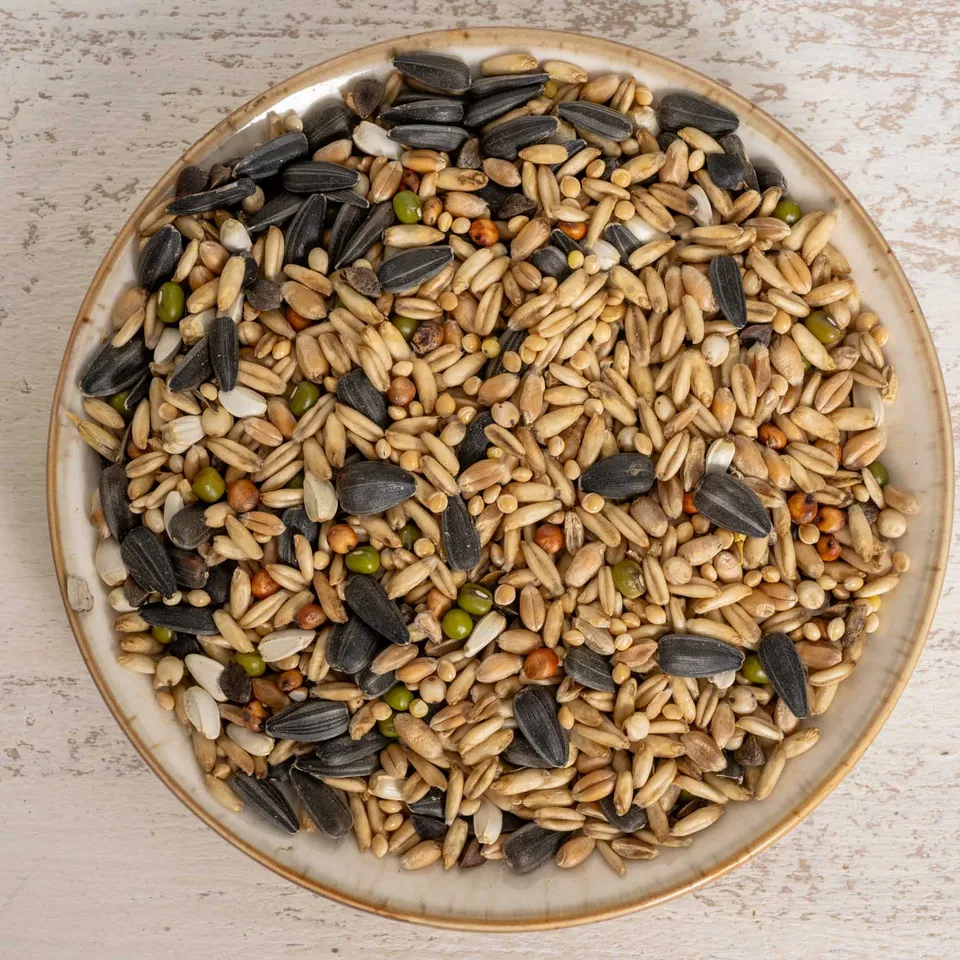 rico-s-futterkiste-keimfutter-gro-sittiche-500g-vitaminreich image 1