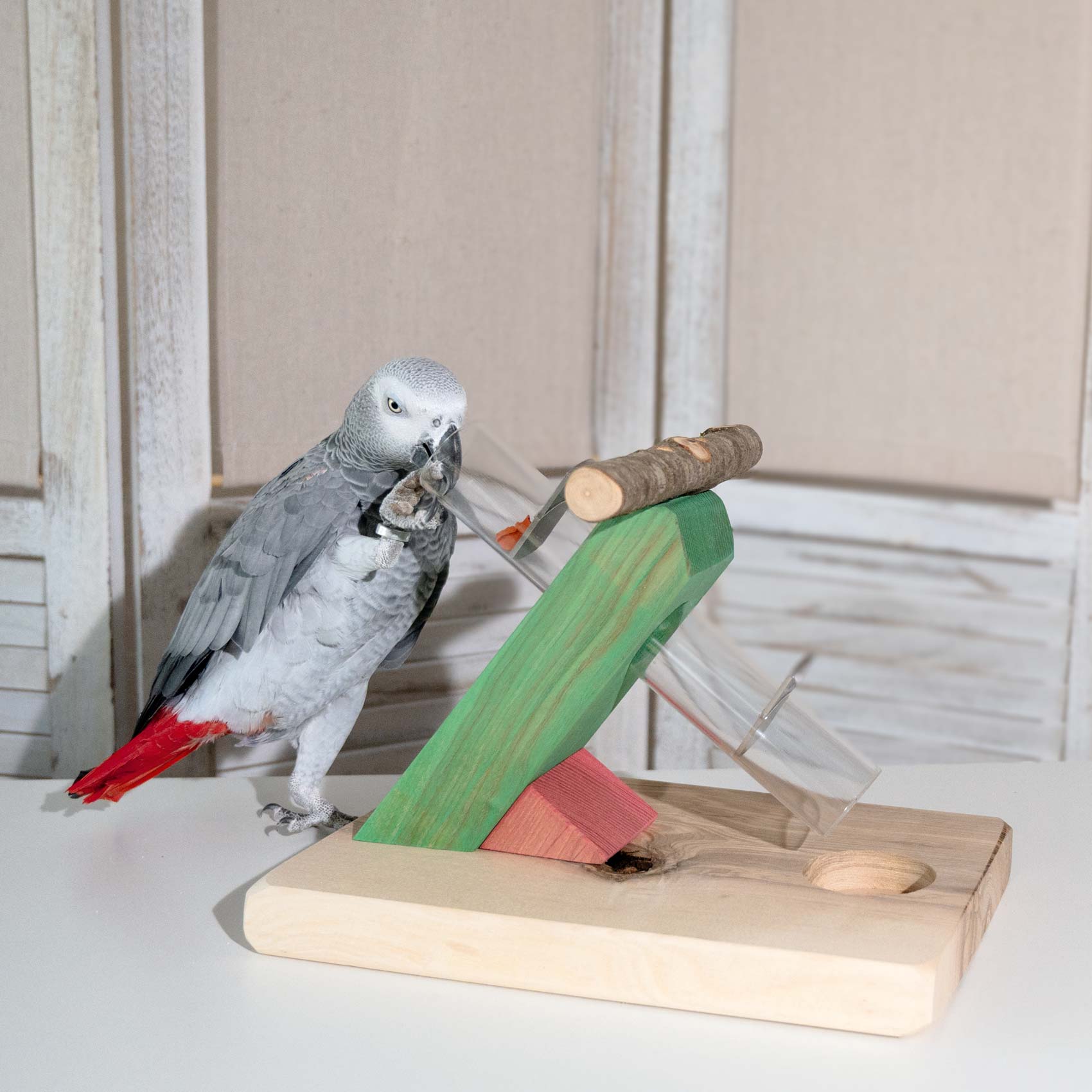 rico-s-futterkiste-leckerli-rutsche-intelligenzspielzeug-holz image 2