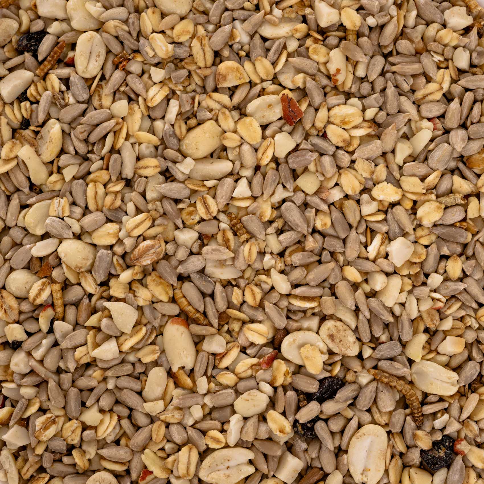 rico-s-futterkiste-wildvogelfutter-schalenlos-1-kg-weich image 2