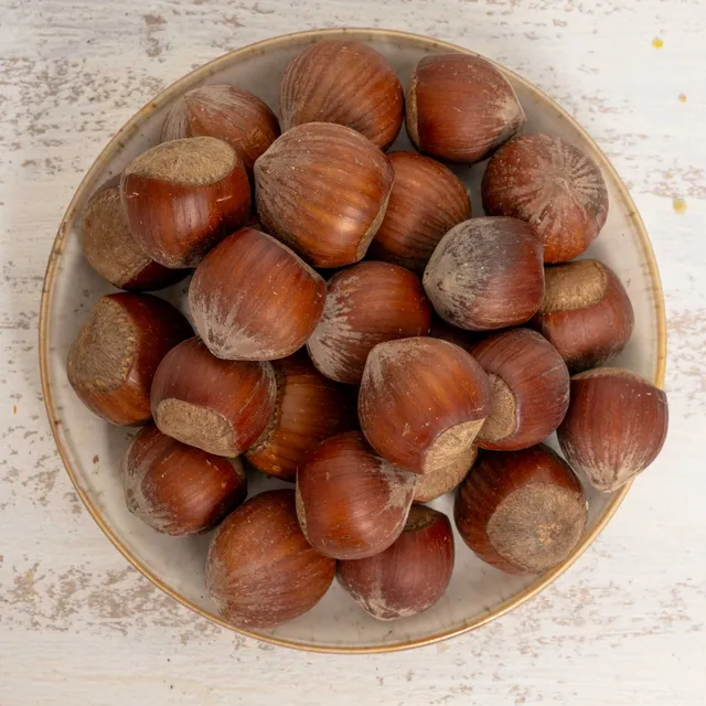 rico-s-futterkiste-haseln-sse-mit-schale-papageiensnack-250-g image 1