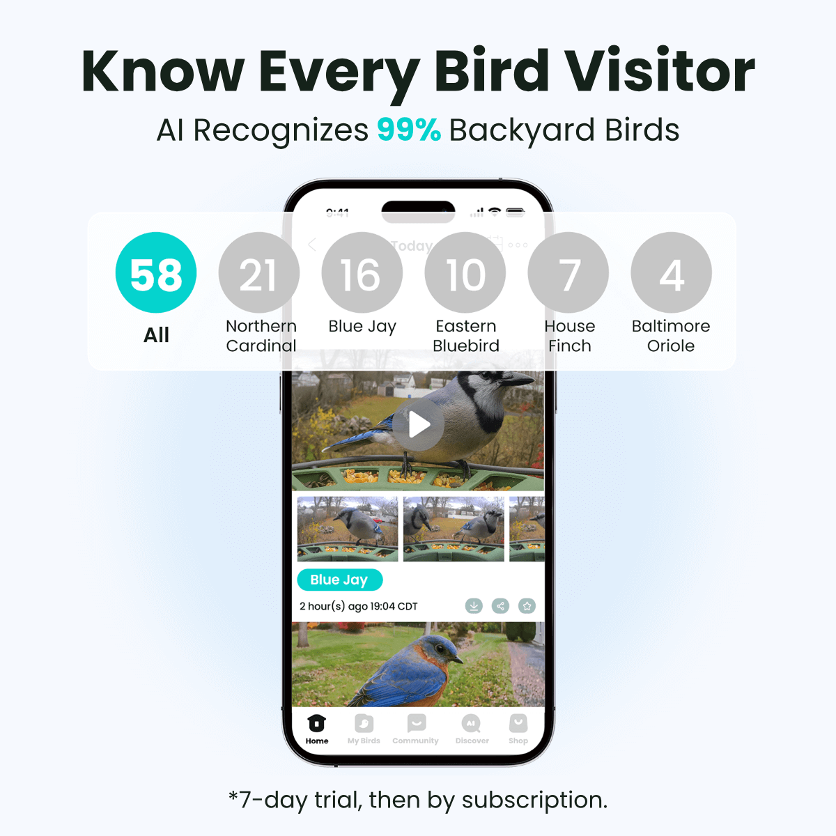 birdfy-feeder-2-bf2-vogelhaus-mit-kamera-1080p-ki image 3