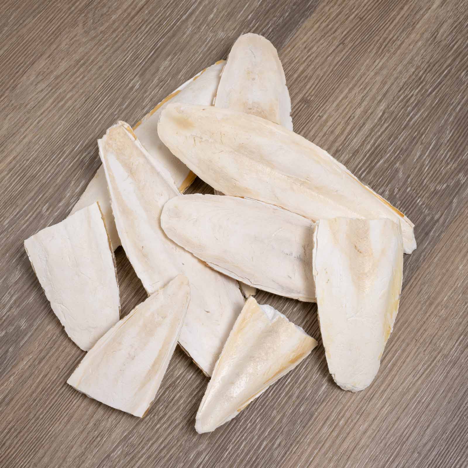 rico-s-futterkiste-sepia-schalen-bruch-calcium-100-g-naturbelassen image 1