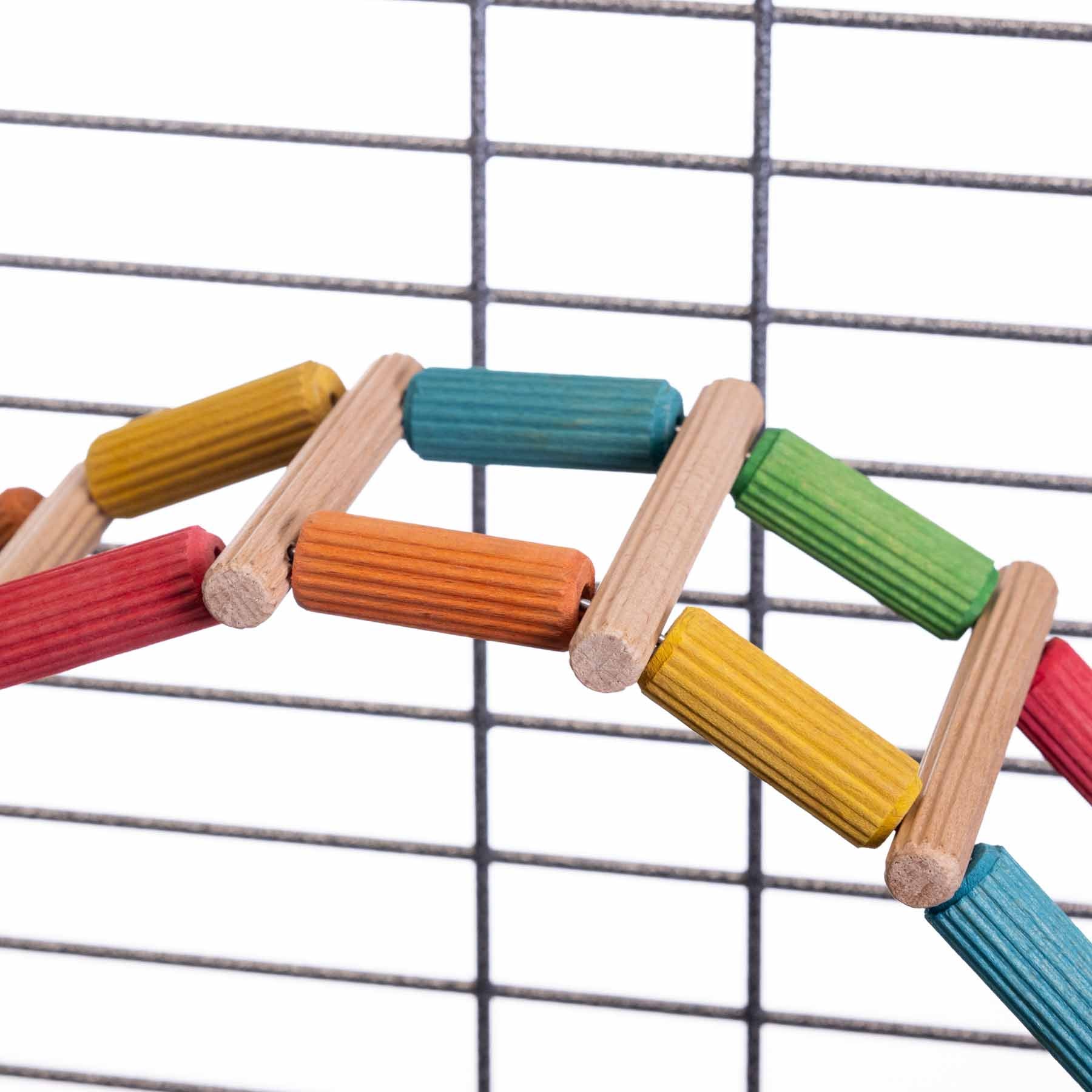 rico-s-futterkiste-flexible-bunte-welli-leiter-sittichspielzeug image 3