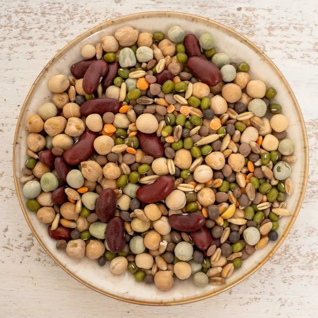 rico-s-futterkiste-keimfutter-eiwei-futter-papageienfutter-500-g image 1