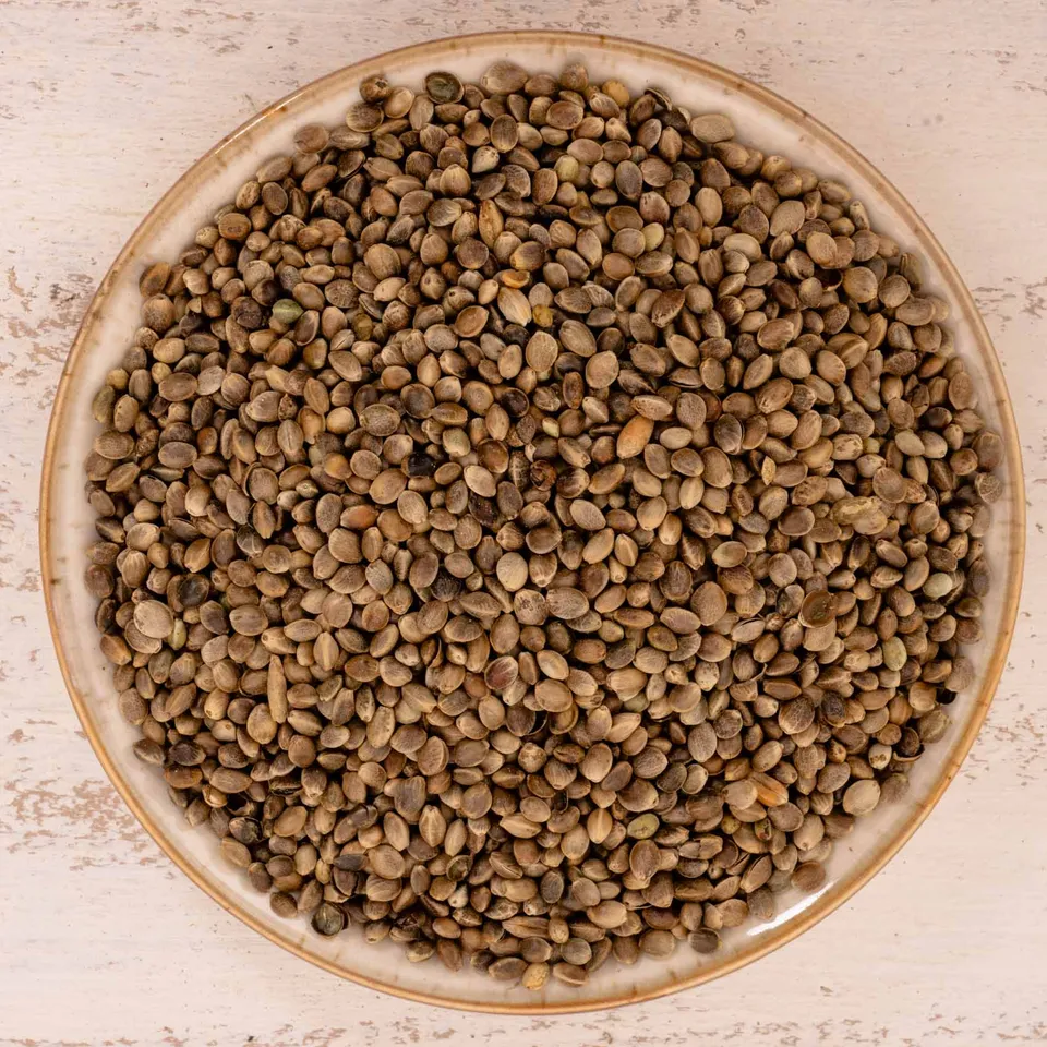 rico-s-futterkiste-einzelsaaten-hanf-vogelfutter-500-g-proteinreich image 1
