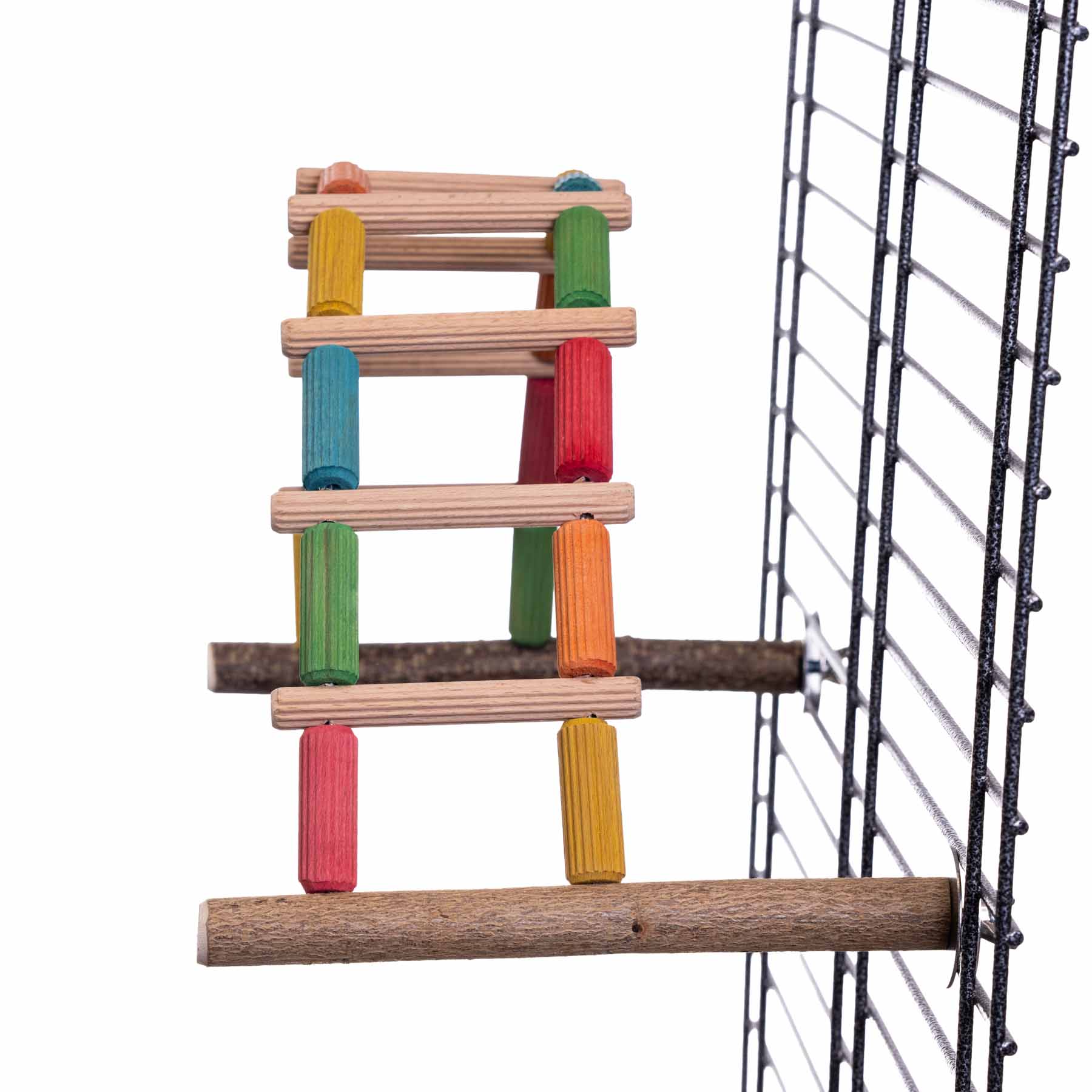 rico-s-futterkiste-flexible-bunte-welli-leiter-sittichspielzeug image 4