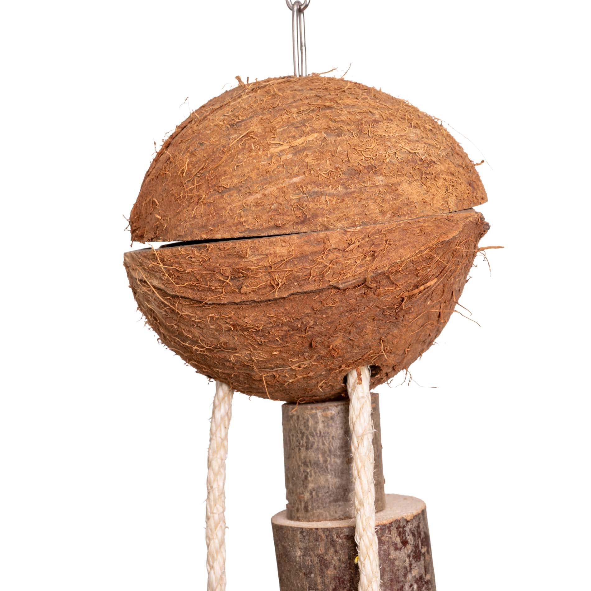 rico-s-futterkiste-kokosnuss-futterversteck-papageienspielzeug-60cm image 3