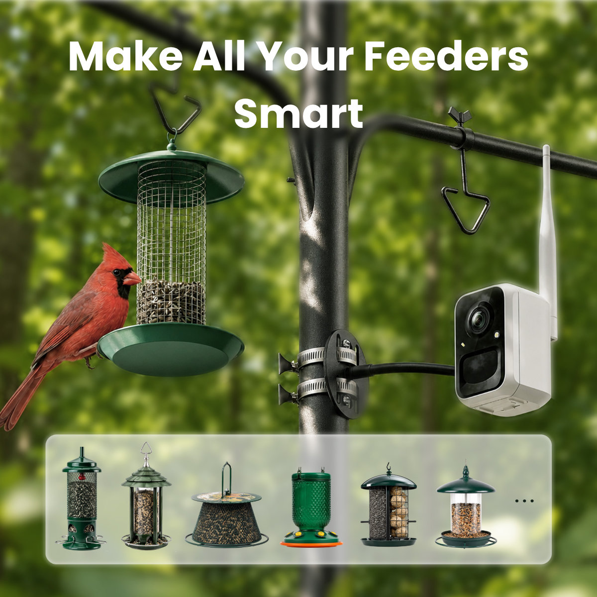 birdfy-add-ons-cam-2k-vogelkamera-f-r-futterstation-wlan image 4